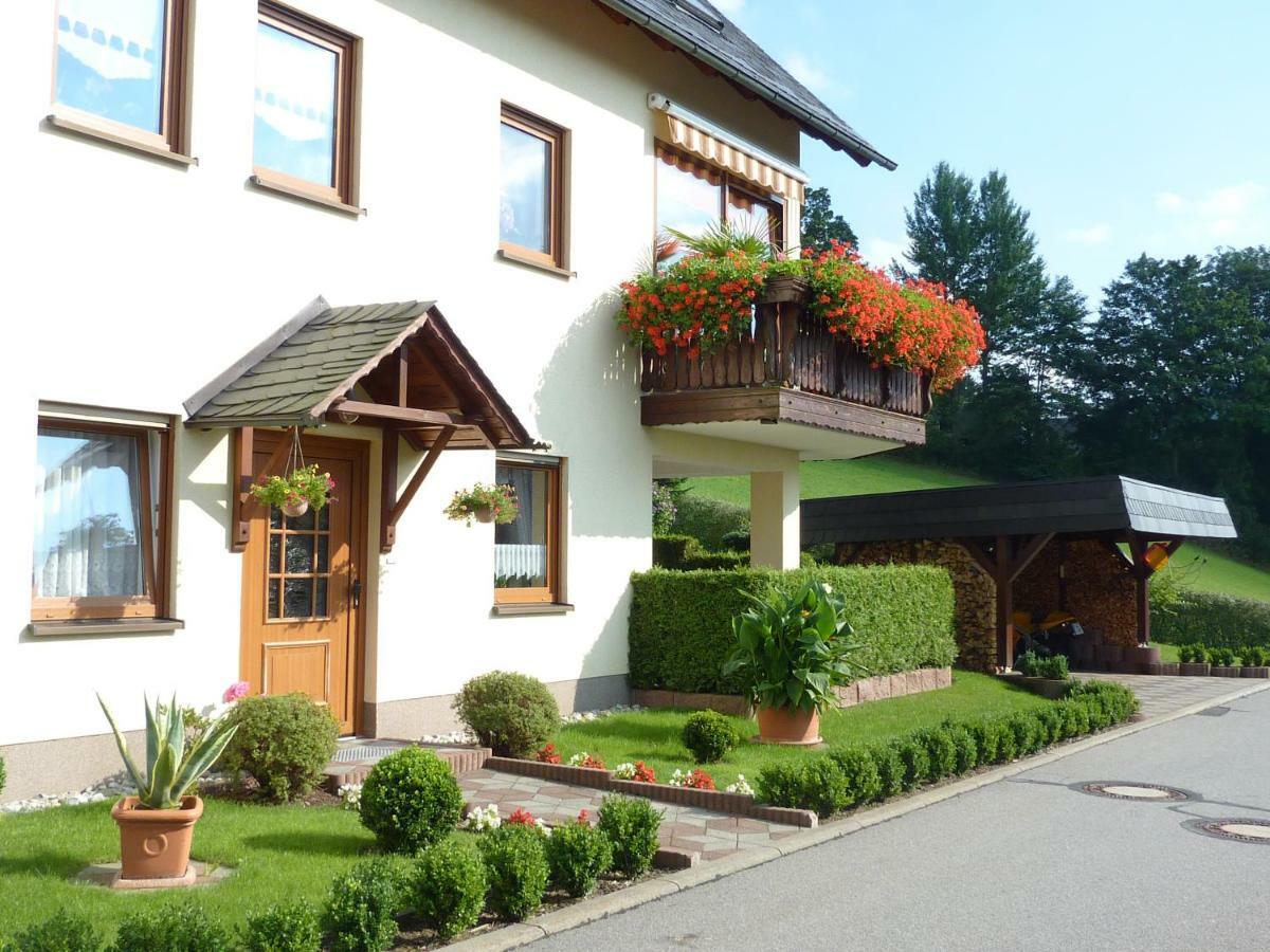 Ferienwohnung Edelmann Markersbach Εξωτερικό φωτογραφία